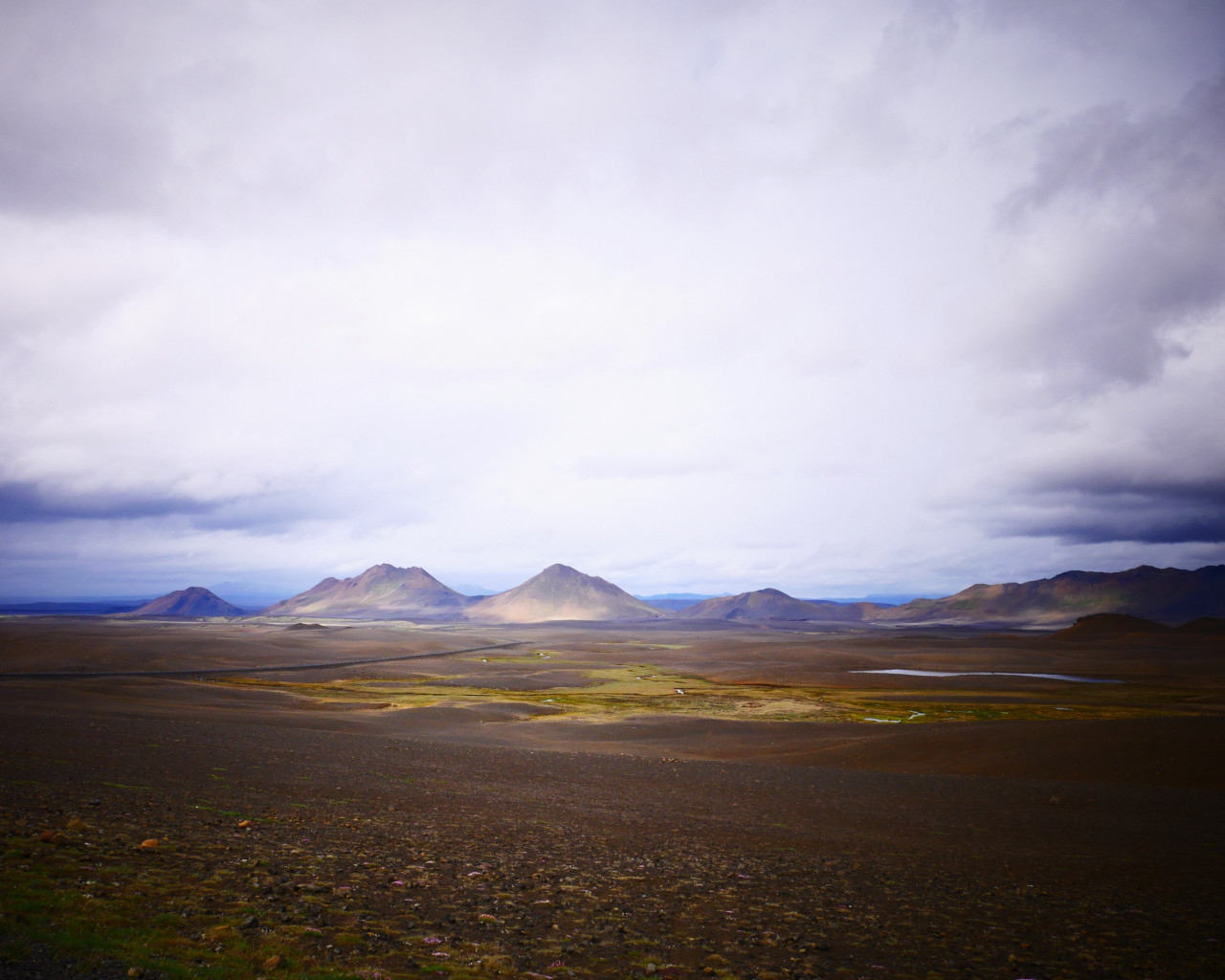 Brown Field and Mountain