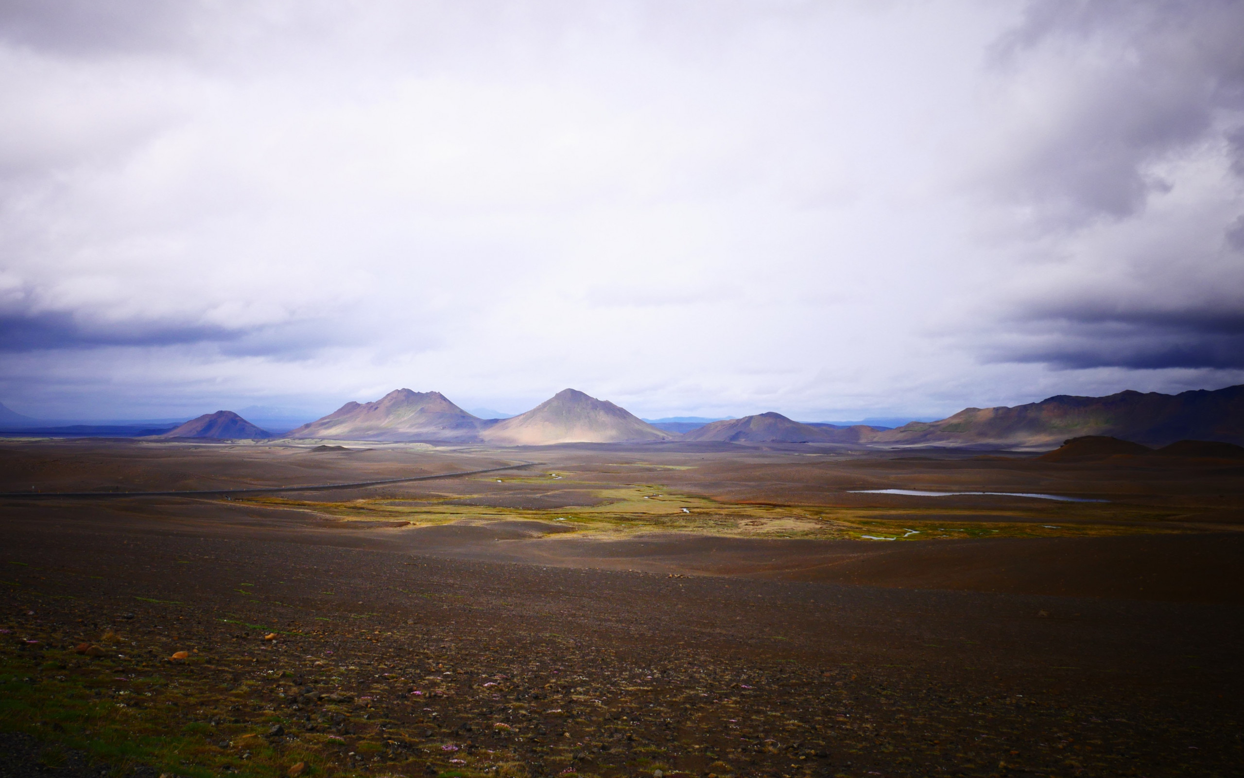 Brown Field and Mountain