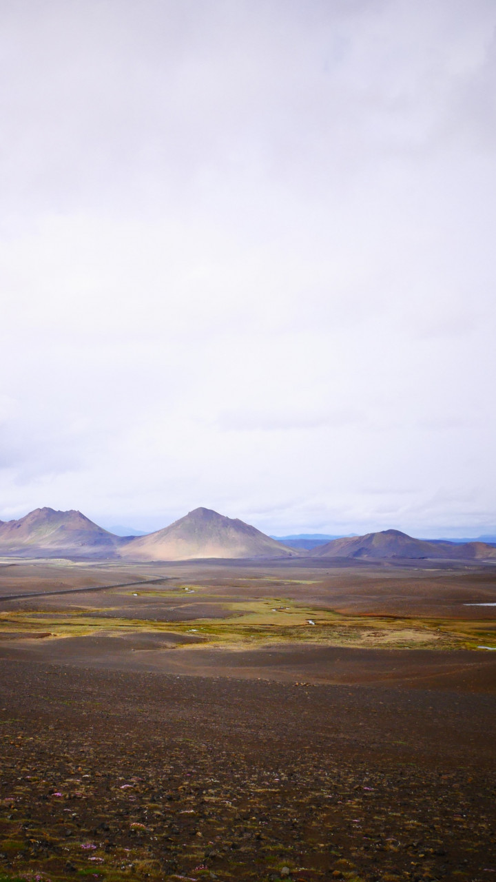Brown Field and Mountain