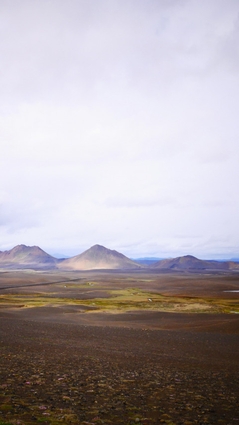 Brown Field and Mountain