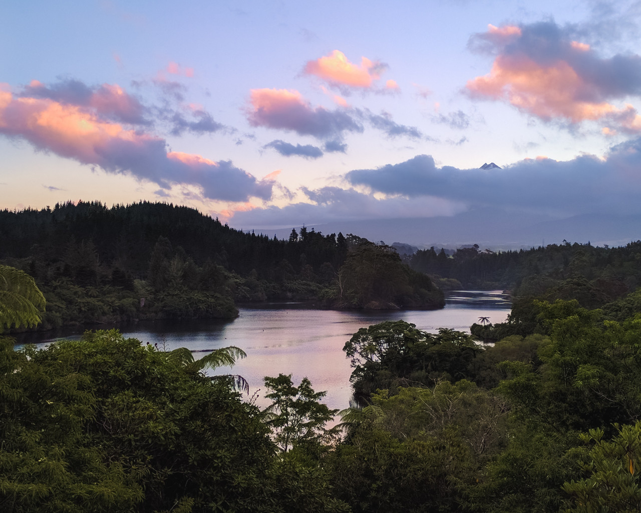 River and Trees 