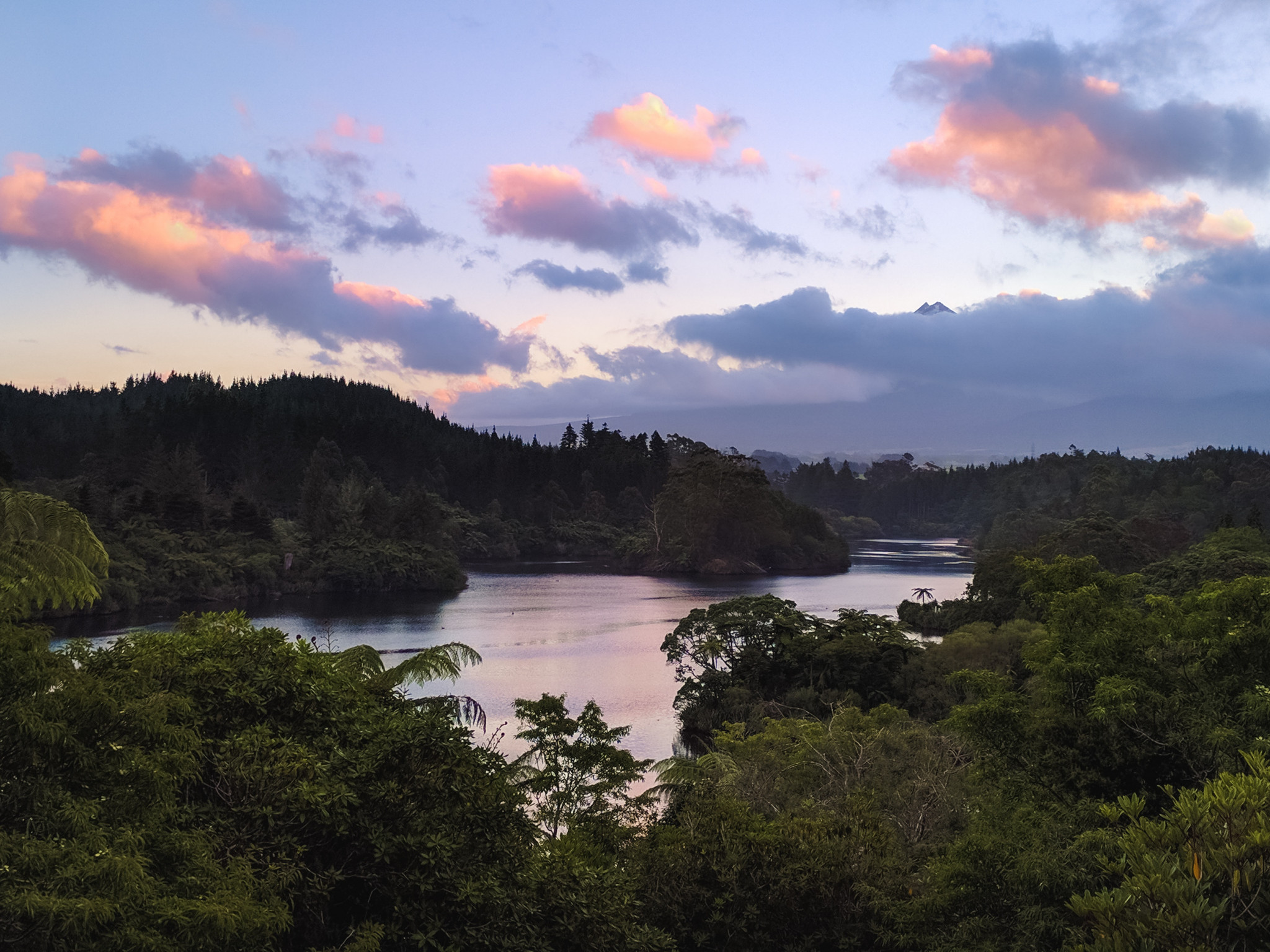 River and Trees 