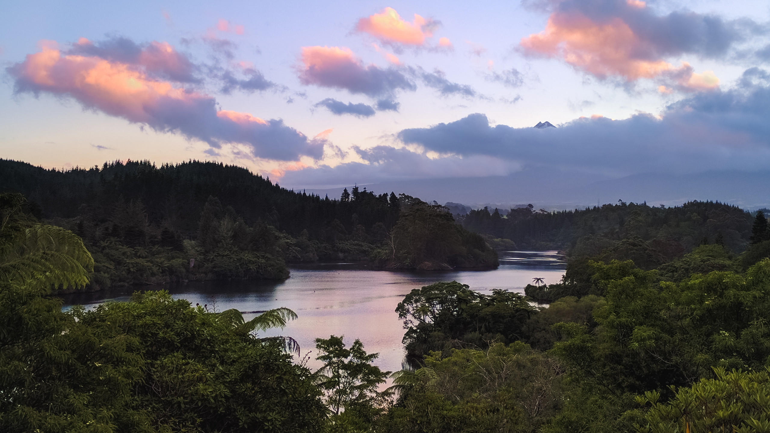 River and Trees 