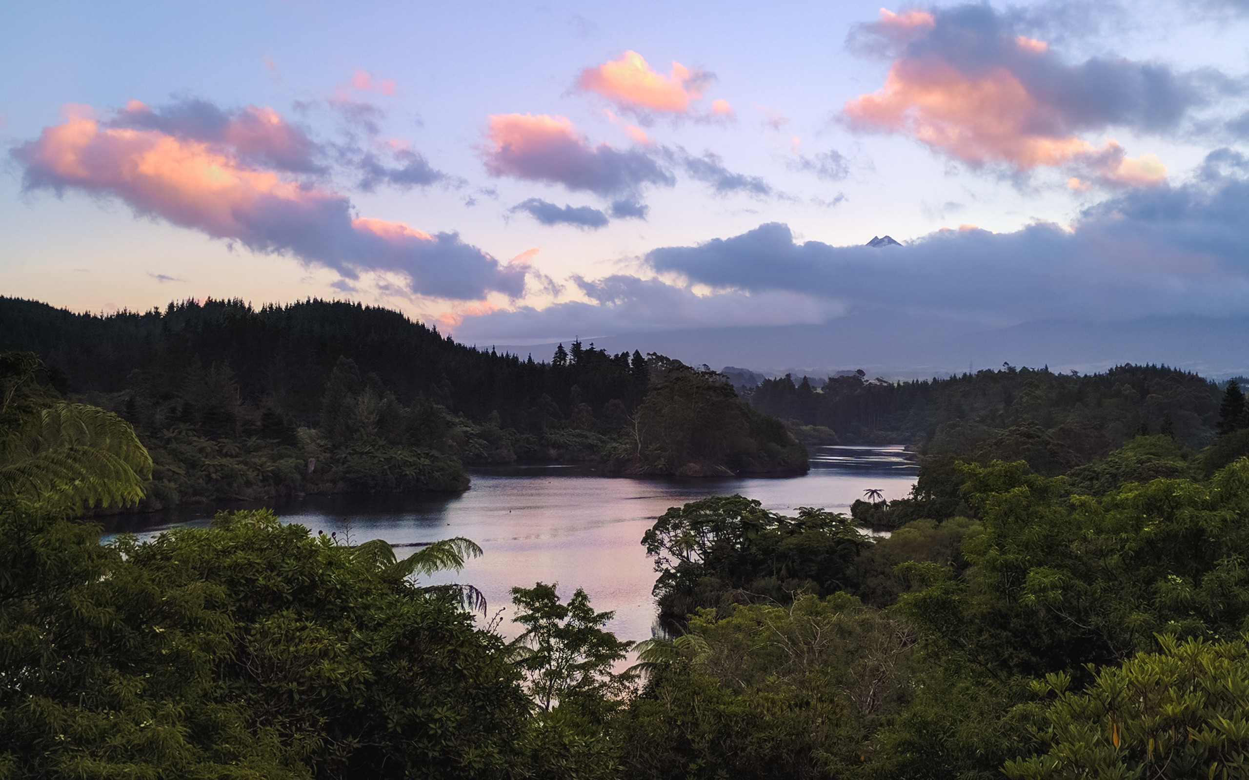 River and Trees 