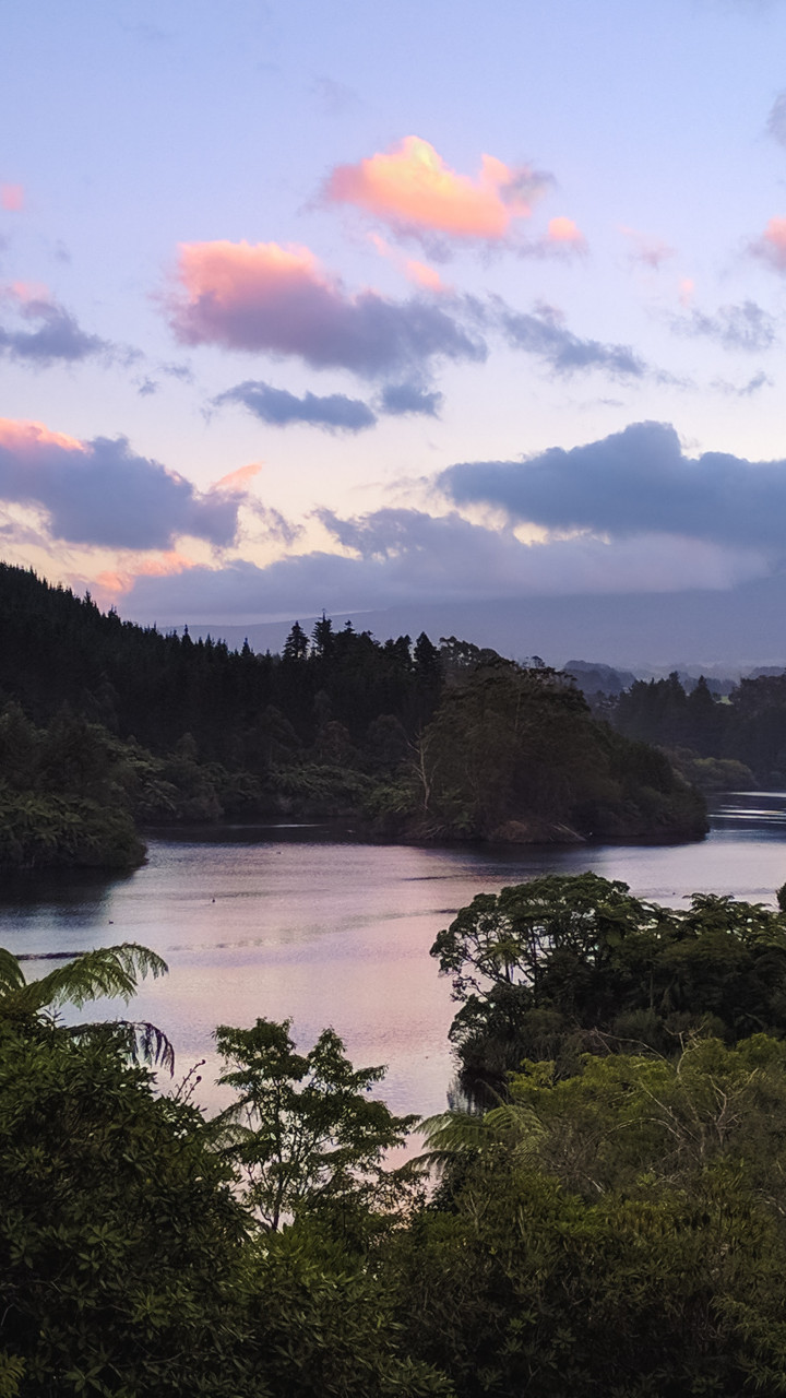 River and Trees 