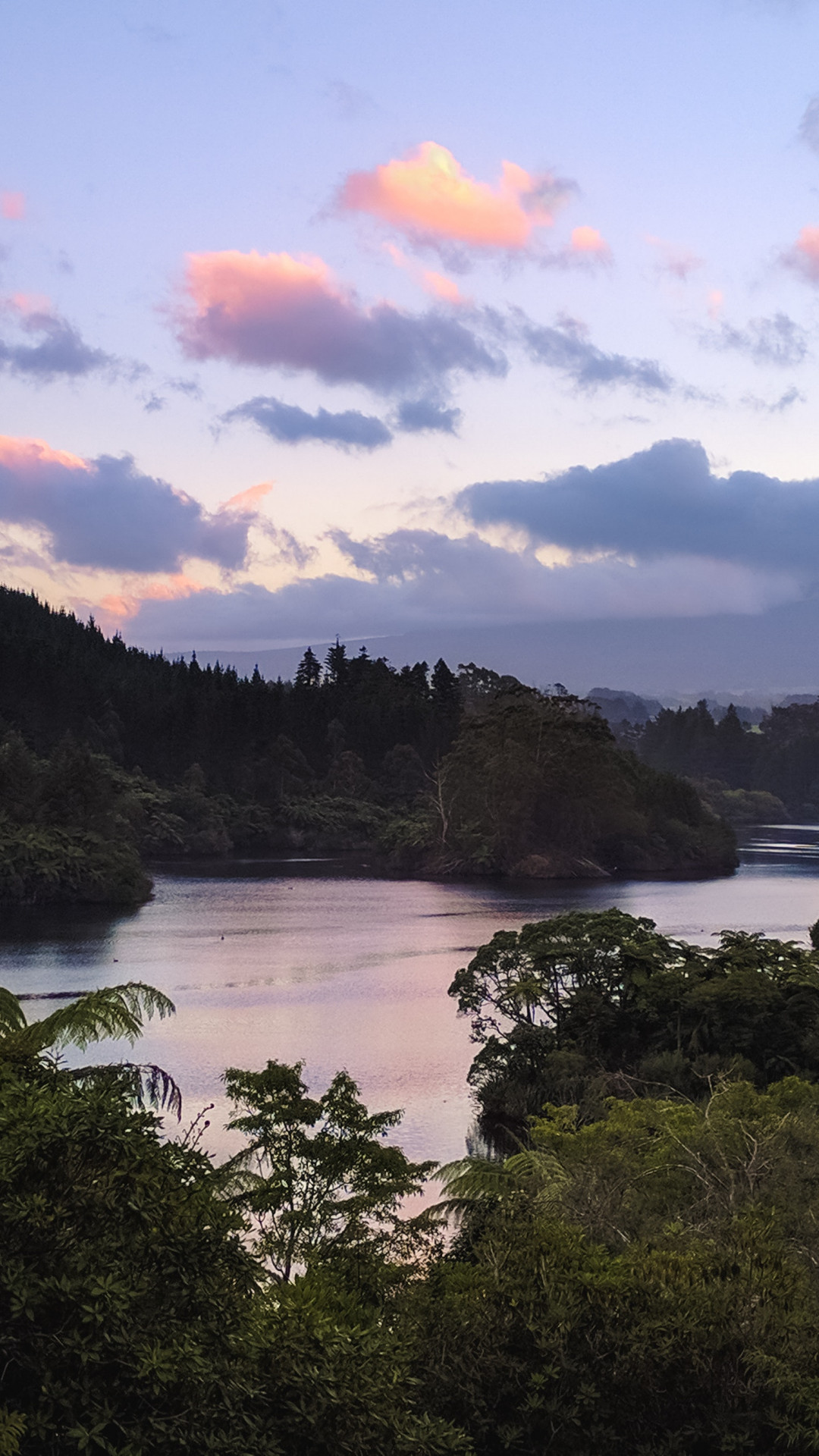 River and Trees 