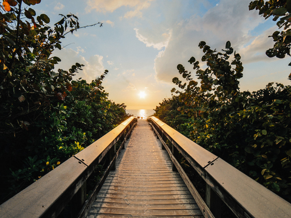 Boardwalk