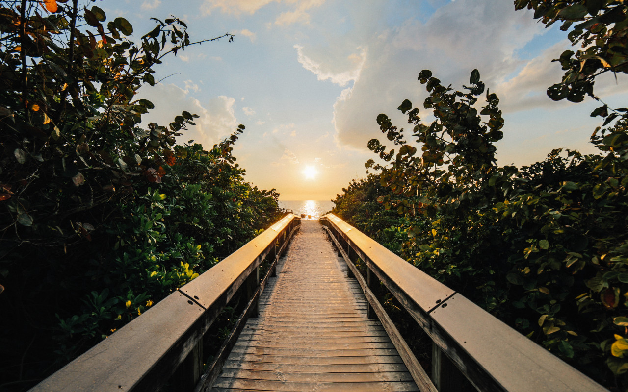 Boardwalk