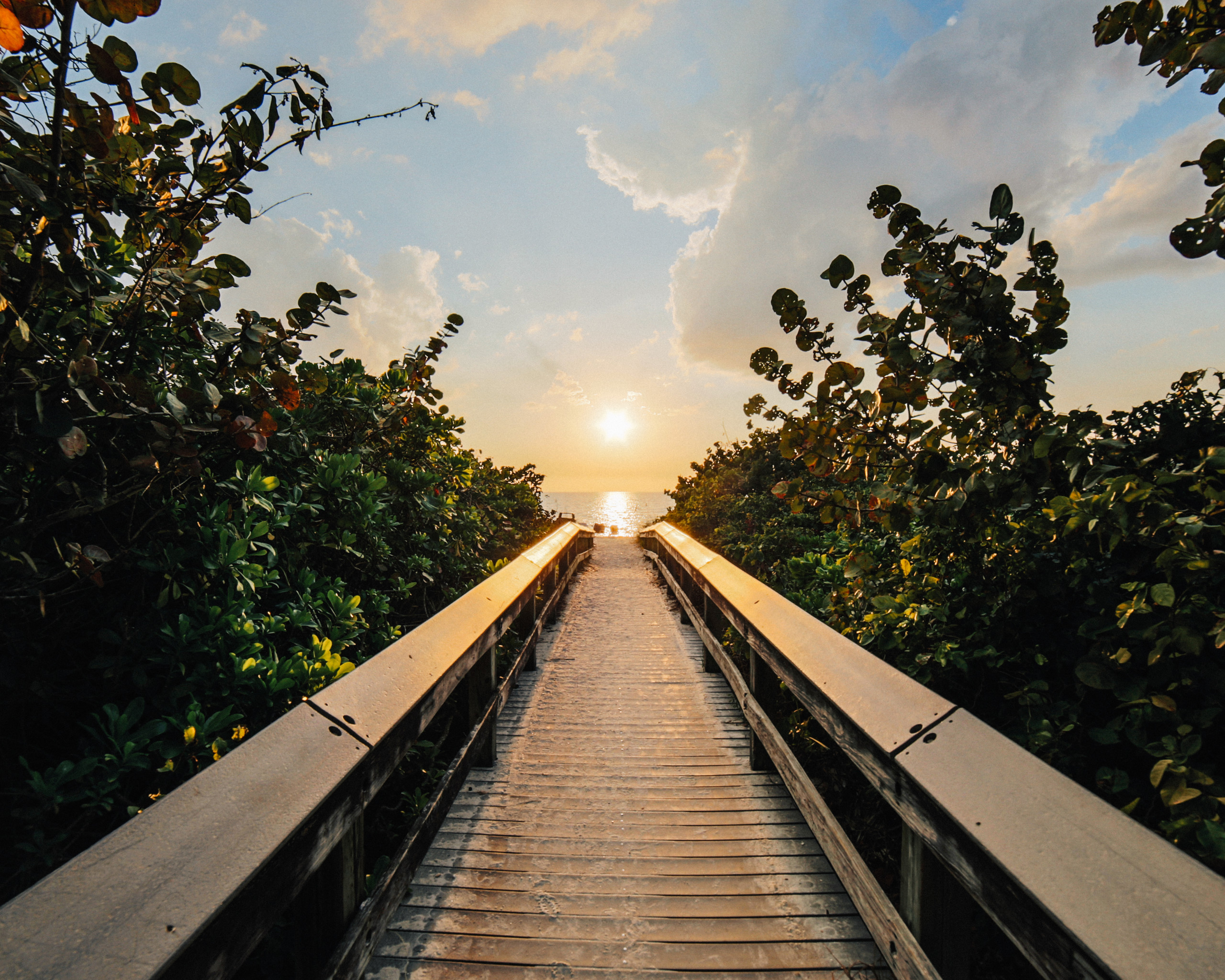 Boardwalk