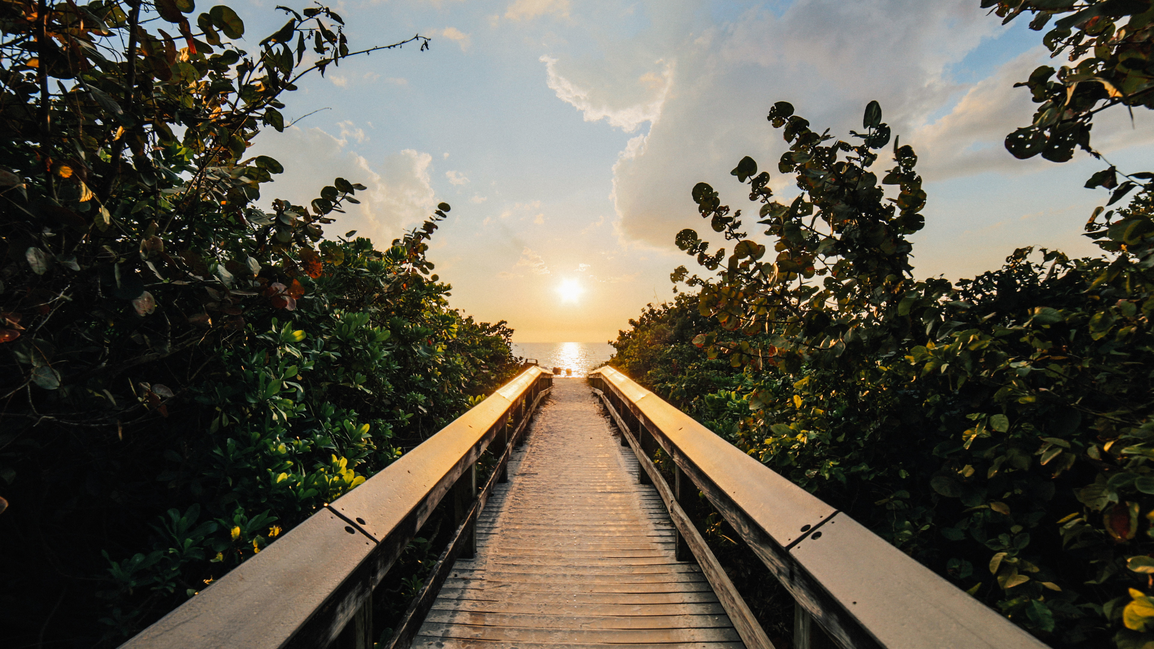 Boardwalk