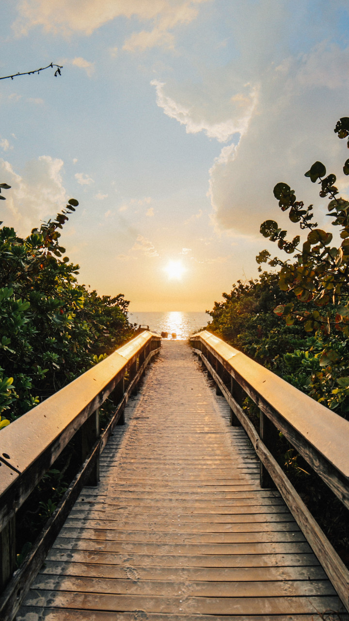 Boardwalk