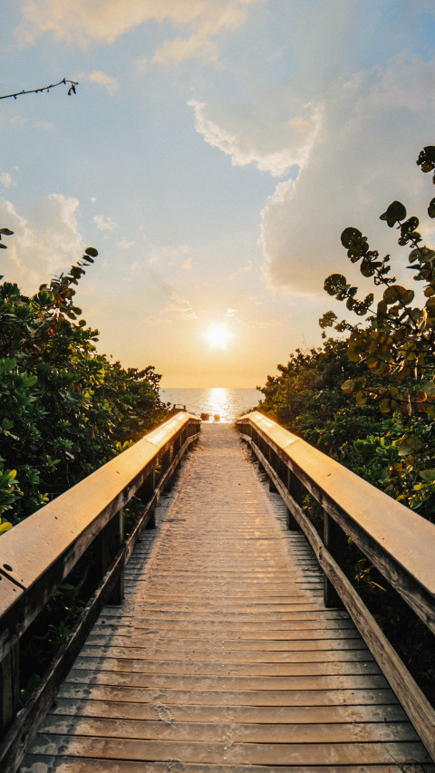 Boardwalk