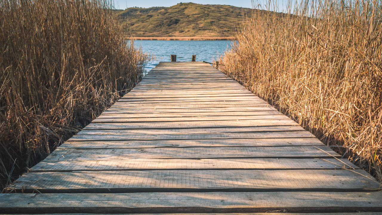 Wooden Dock