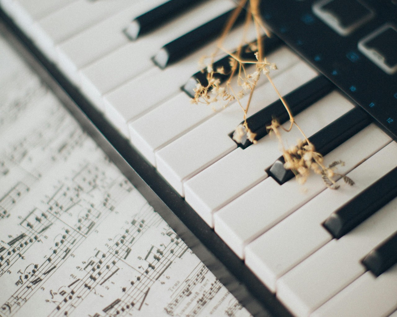 Musical Notes on Piano Keys