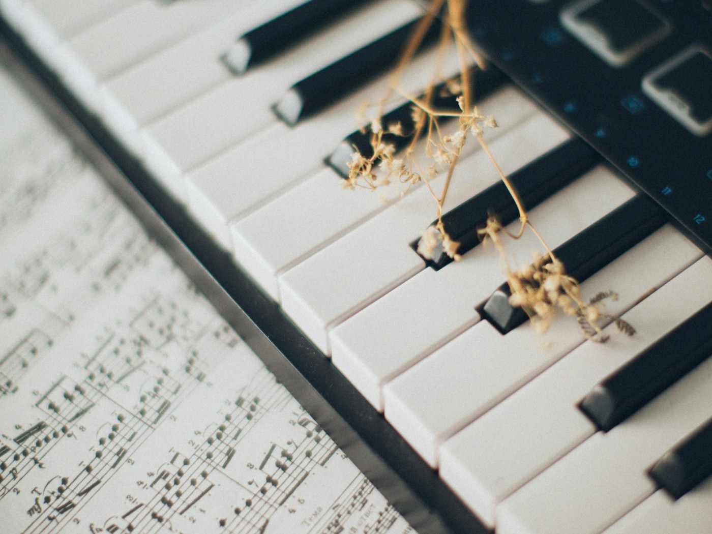 Musical Notes on Piano Keys