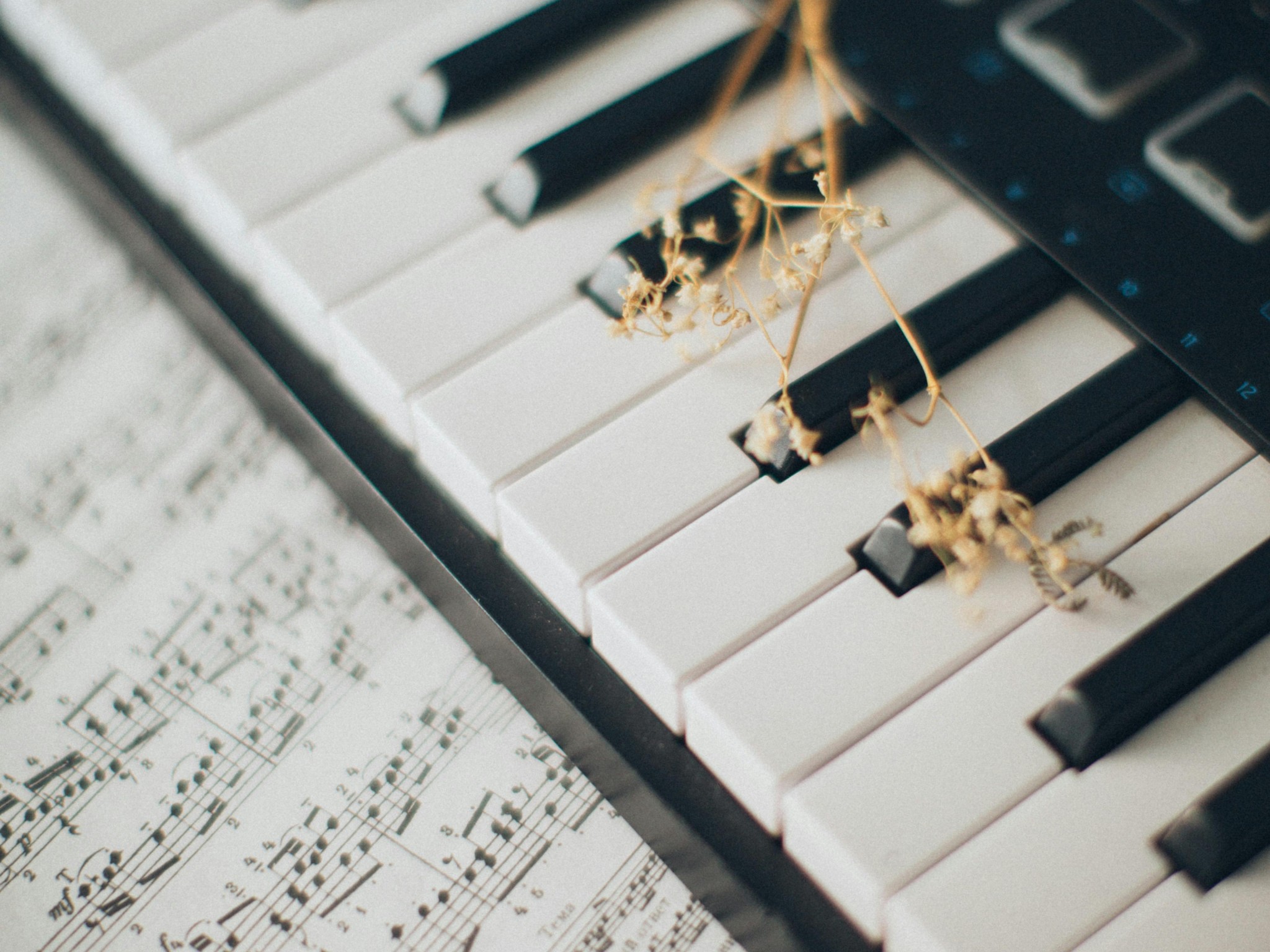 Musical Notes on Piano Keys