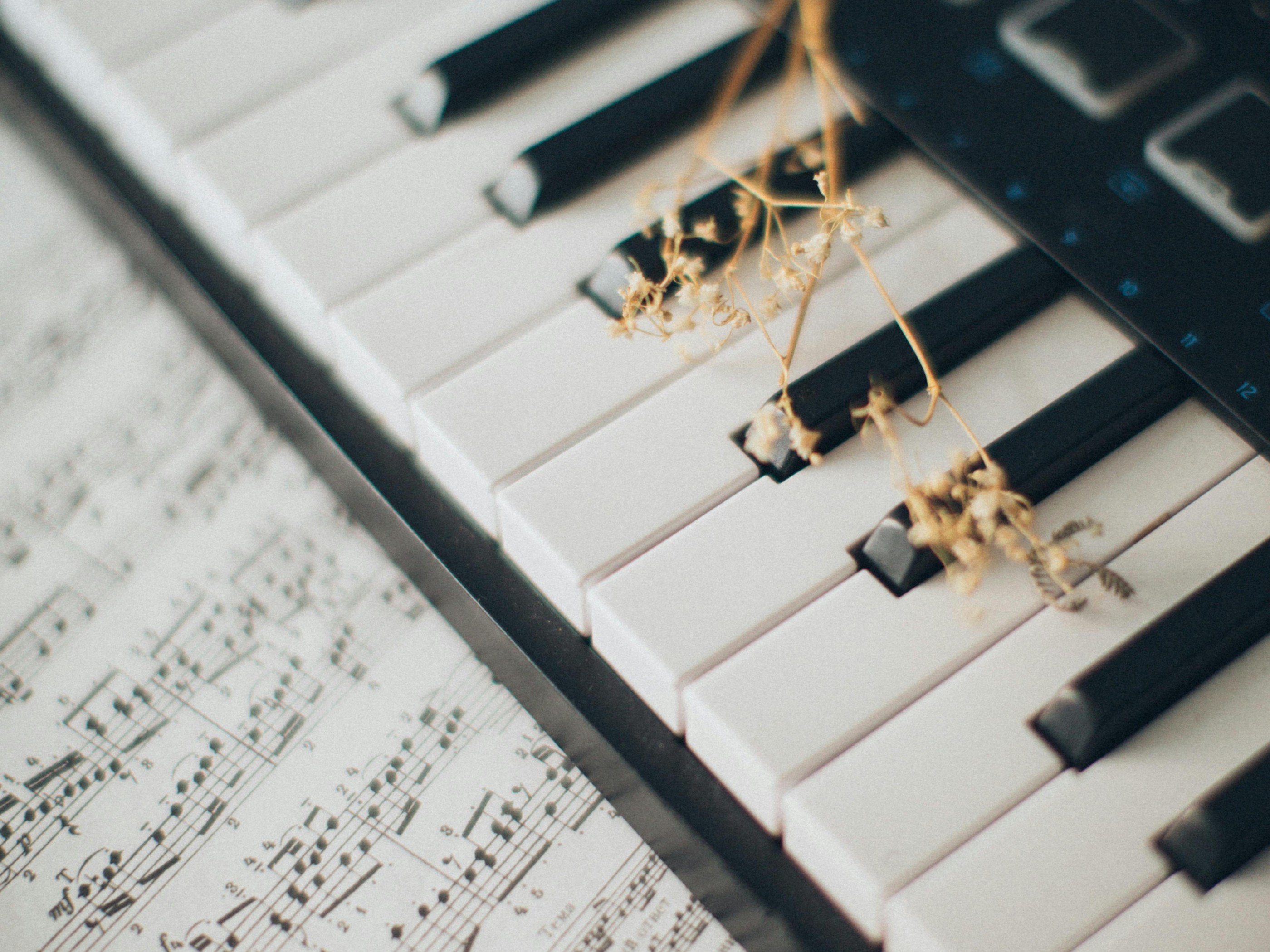 Musical Notes on Piano Keys