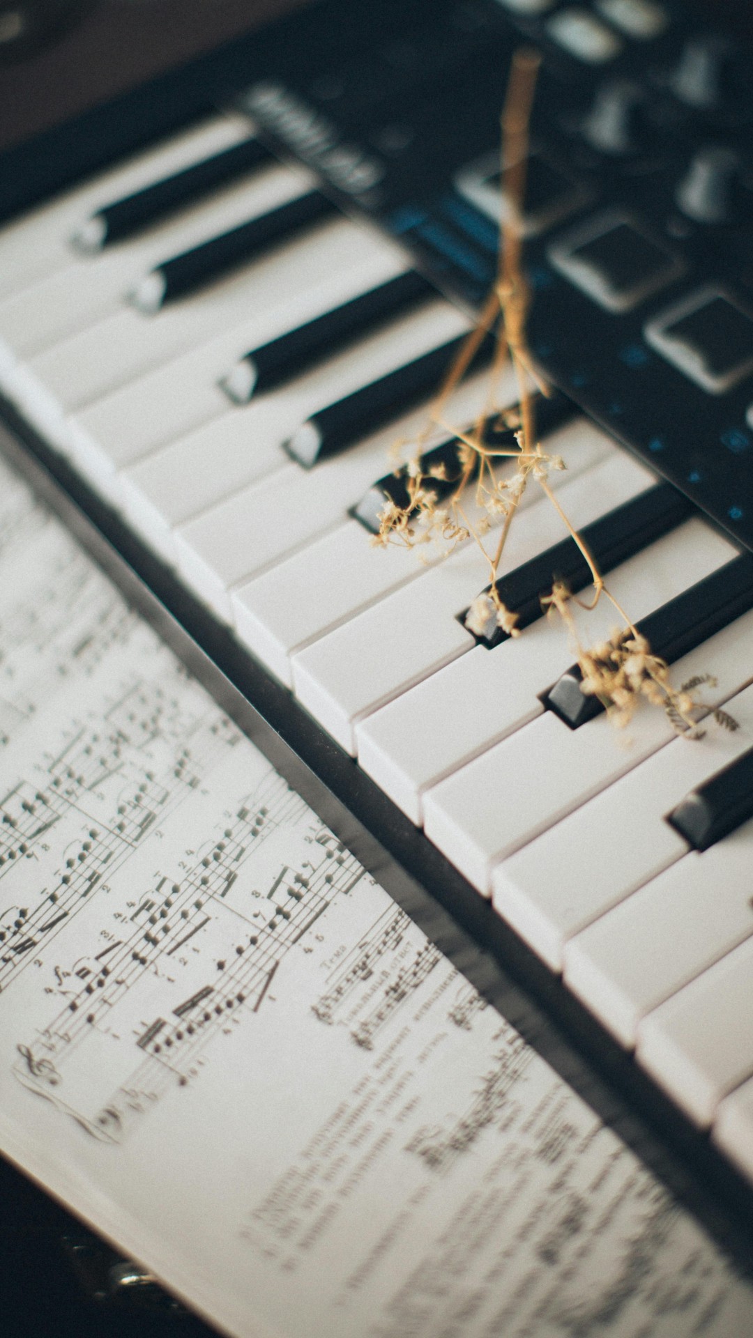 Musical Notes on Piano Keys