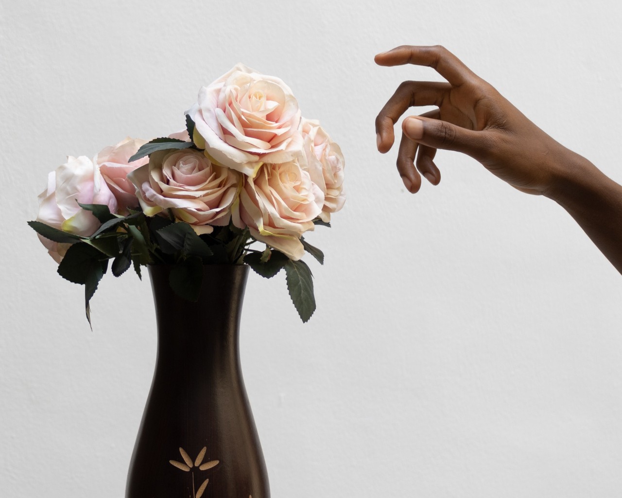 fresh roses
