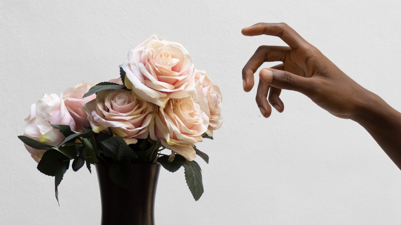 fresh roses