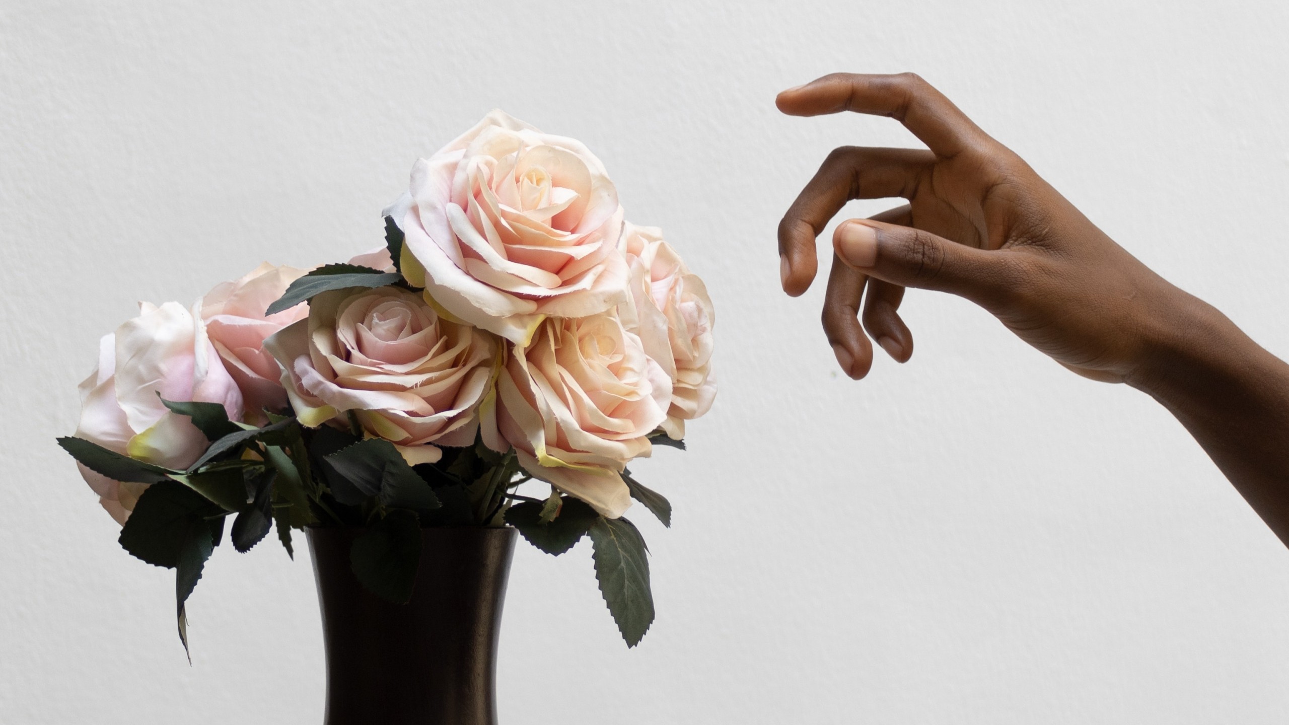 fresh roses