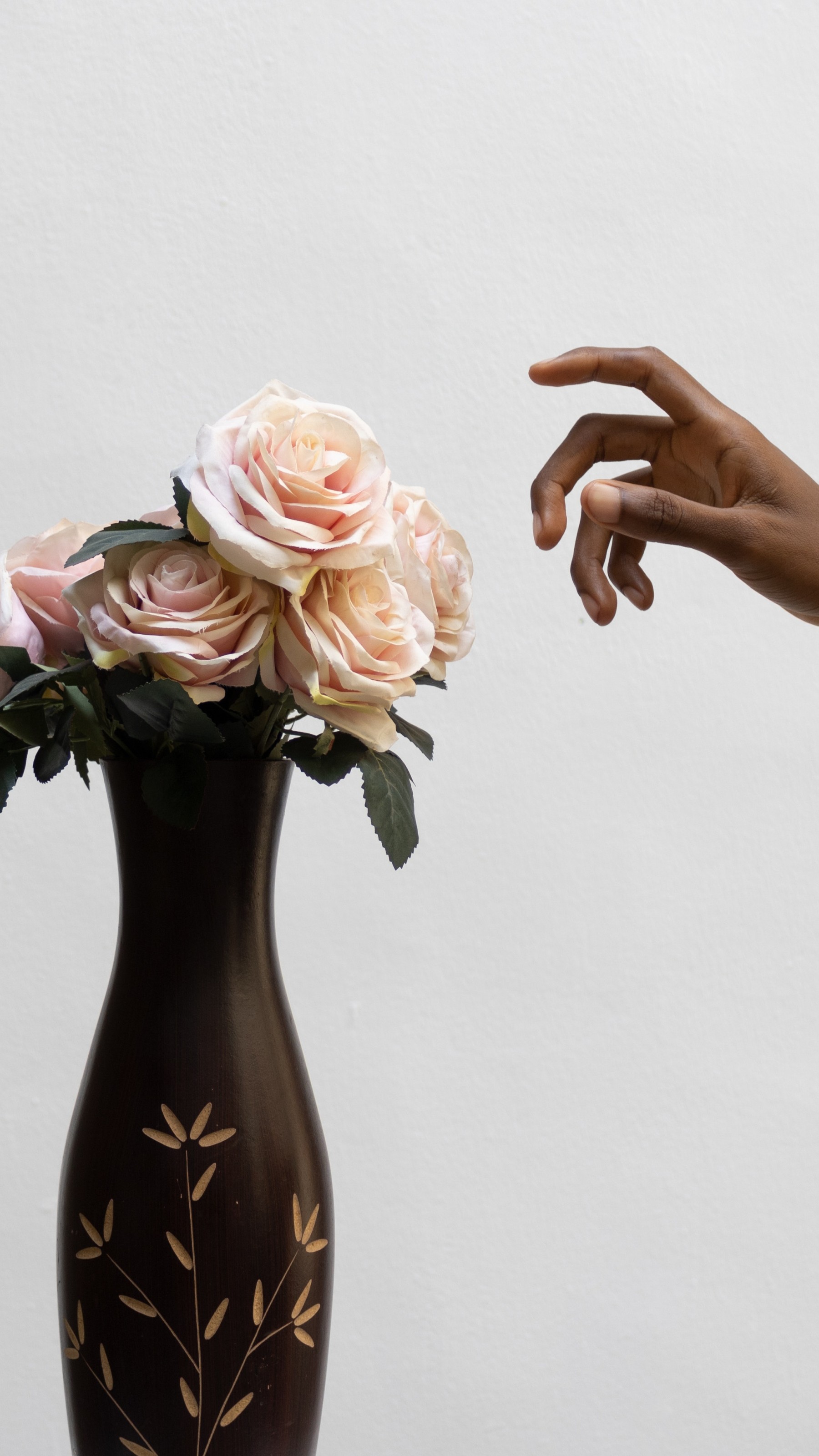 fresh roses