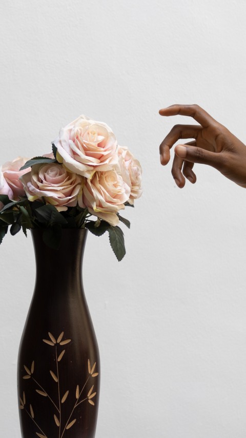 fresh roses