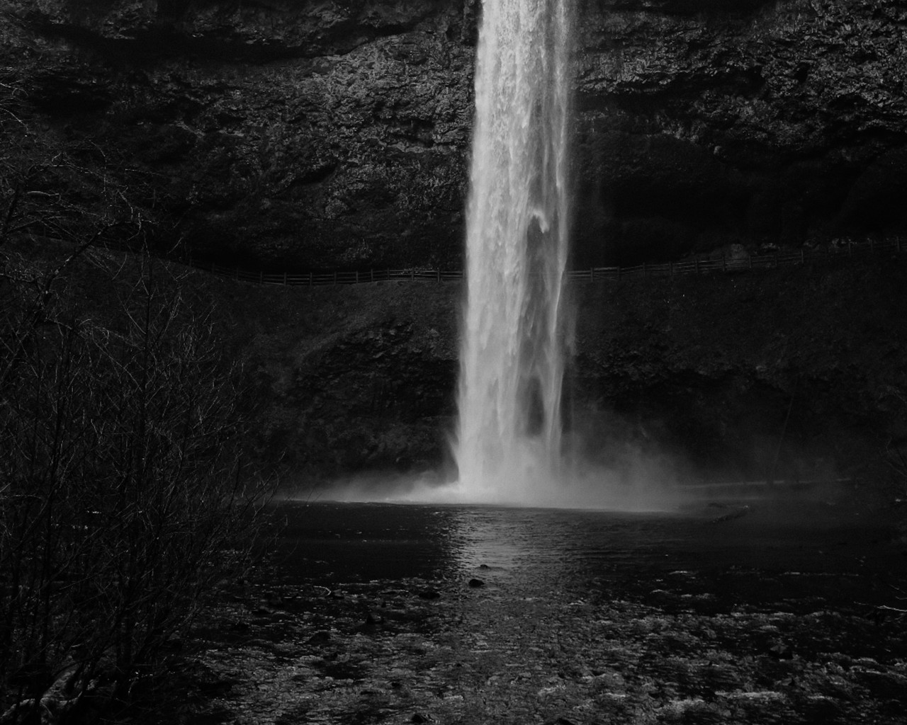 Waterfalls in the Forest