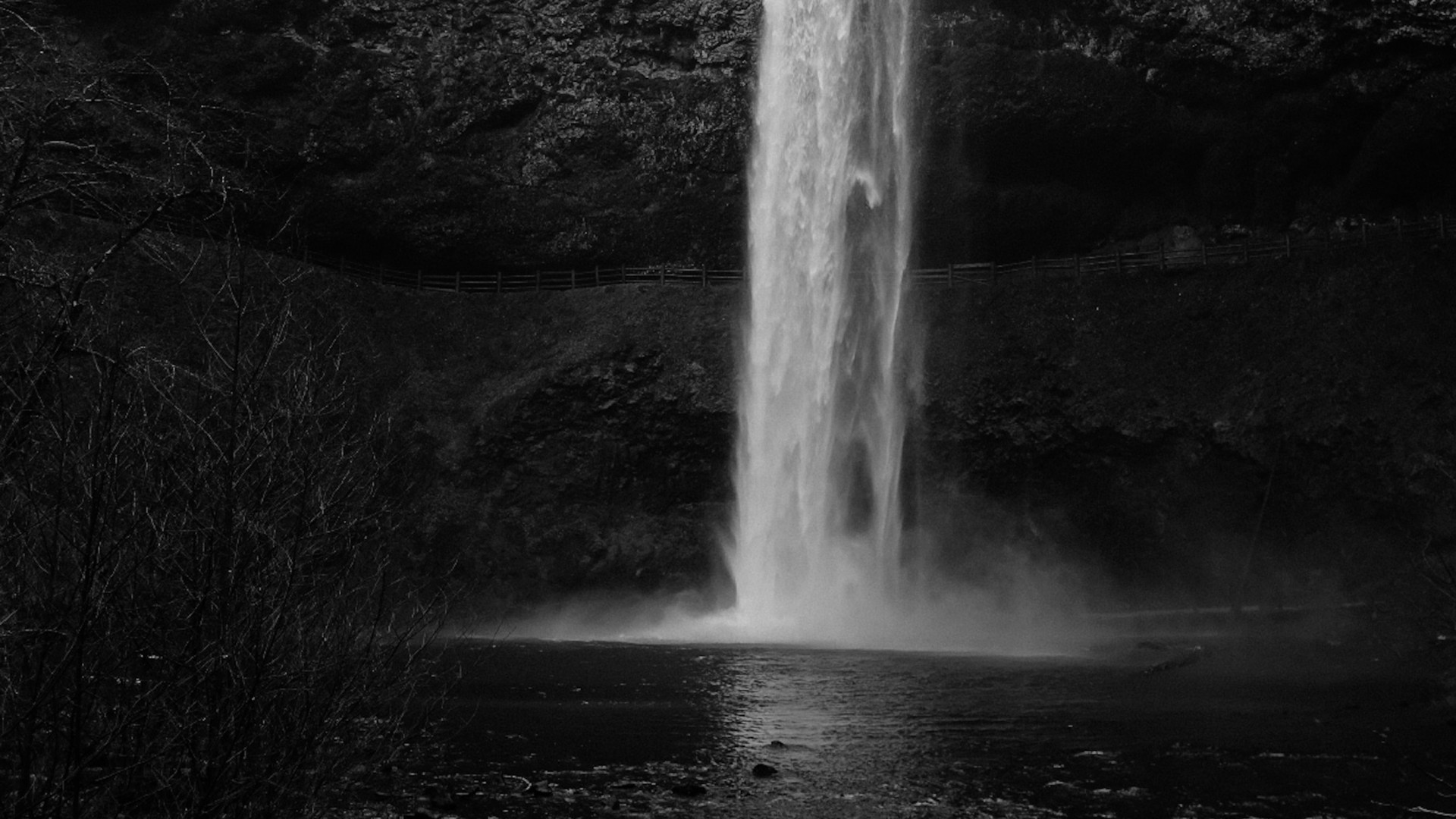 Waterfalls in the Forest
