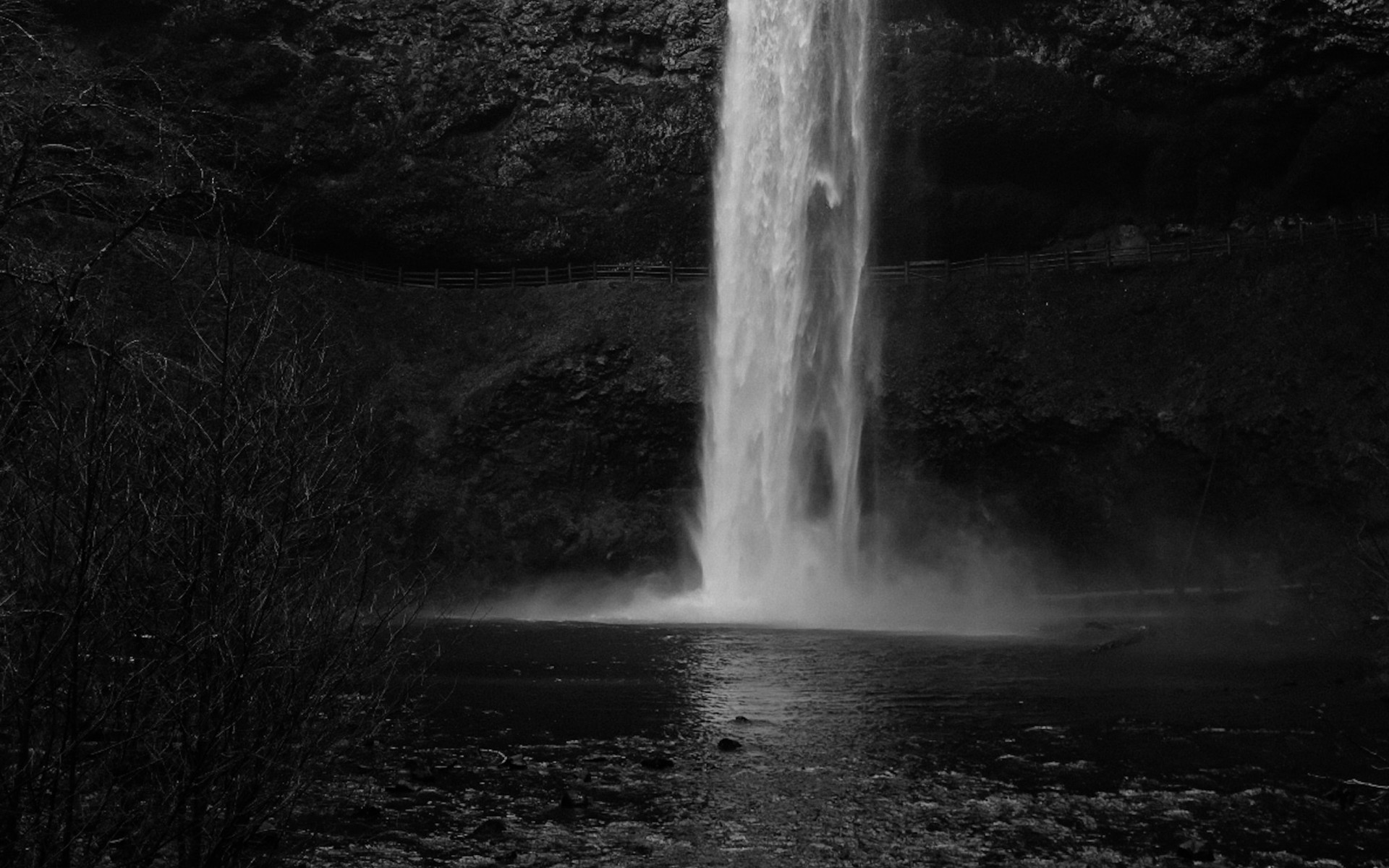 Waterfalls in the Forest