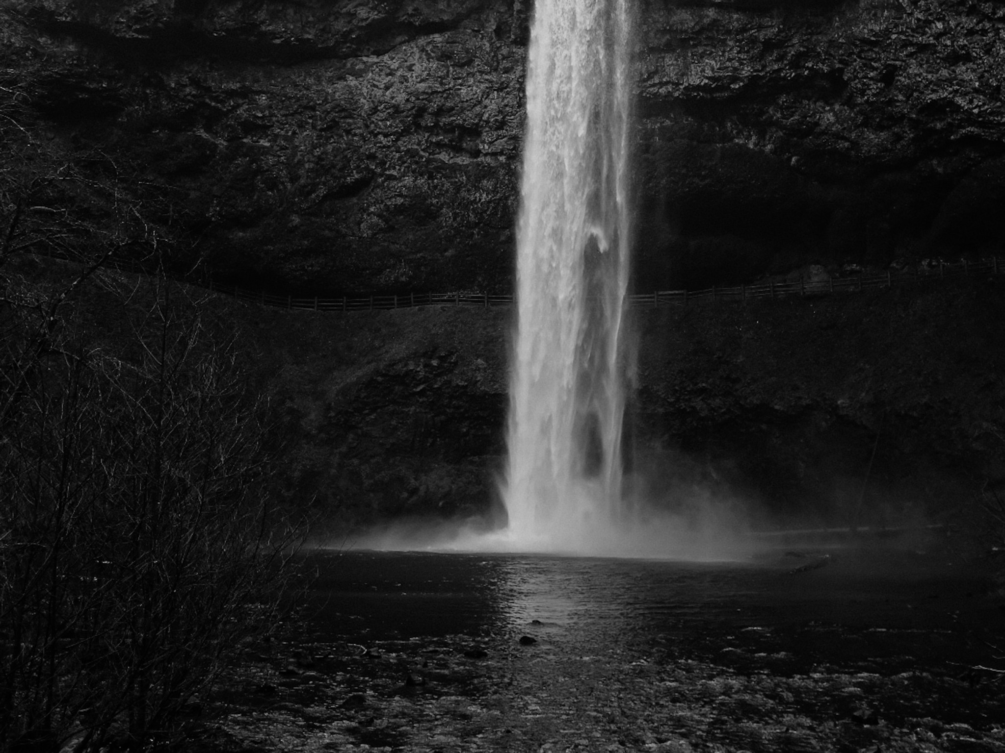 Waterfalls in the Forest