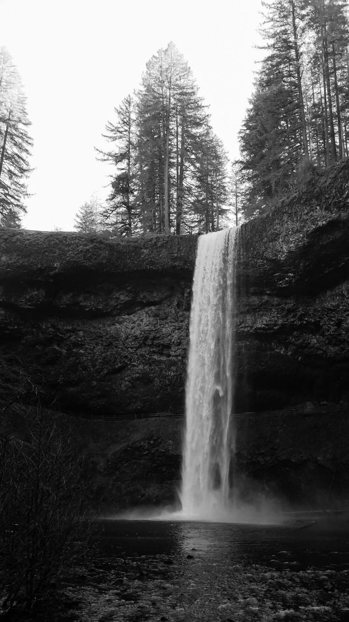 Waterfalls in the Forest