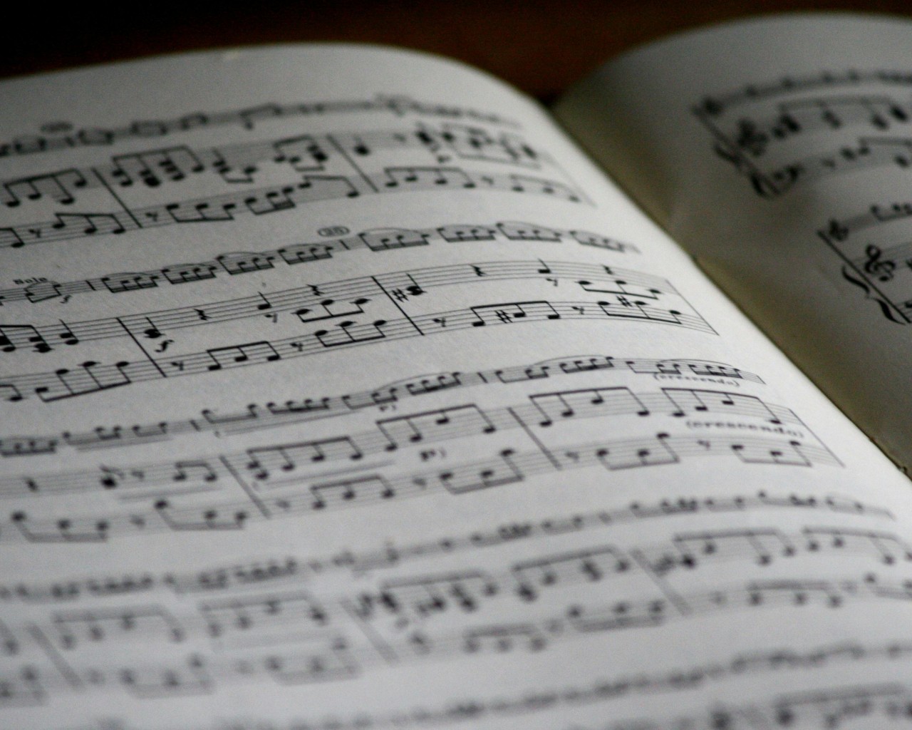 Printed Musical Note Page