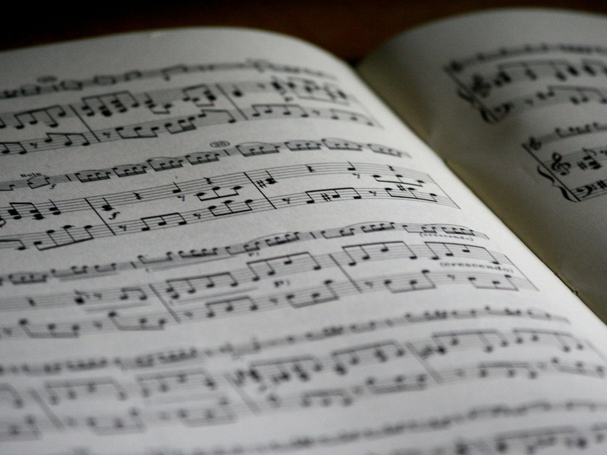 Printed Musical Note Page