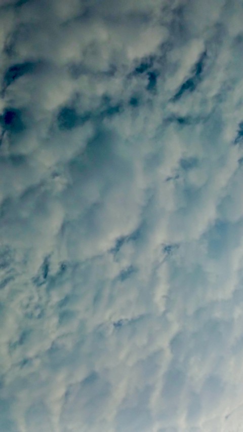 Wallpaper by Mr CAtographer