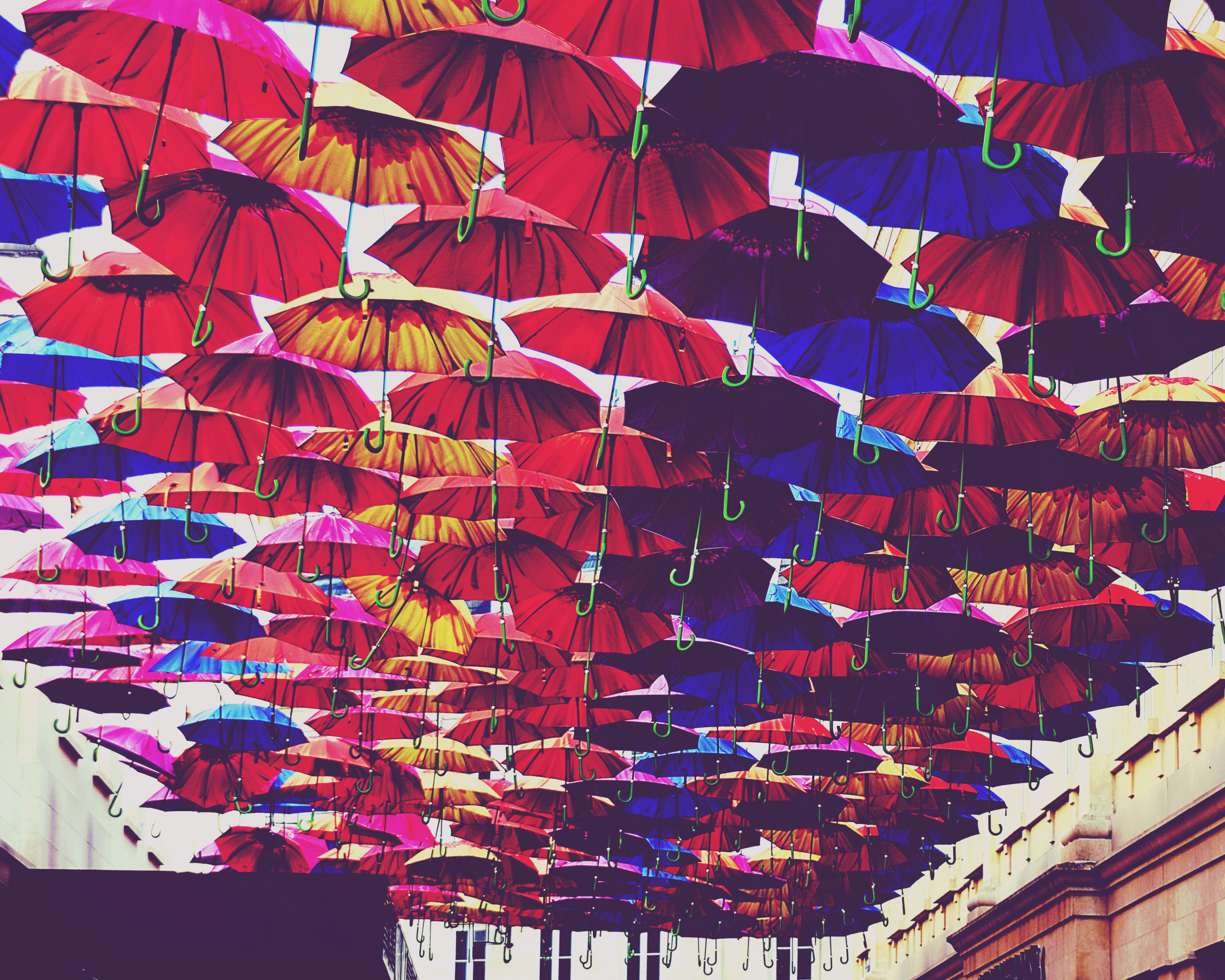 Umbrellas