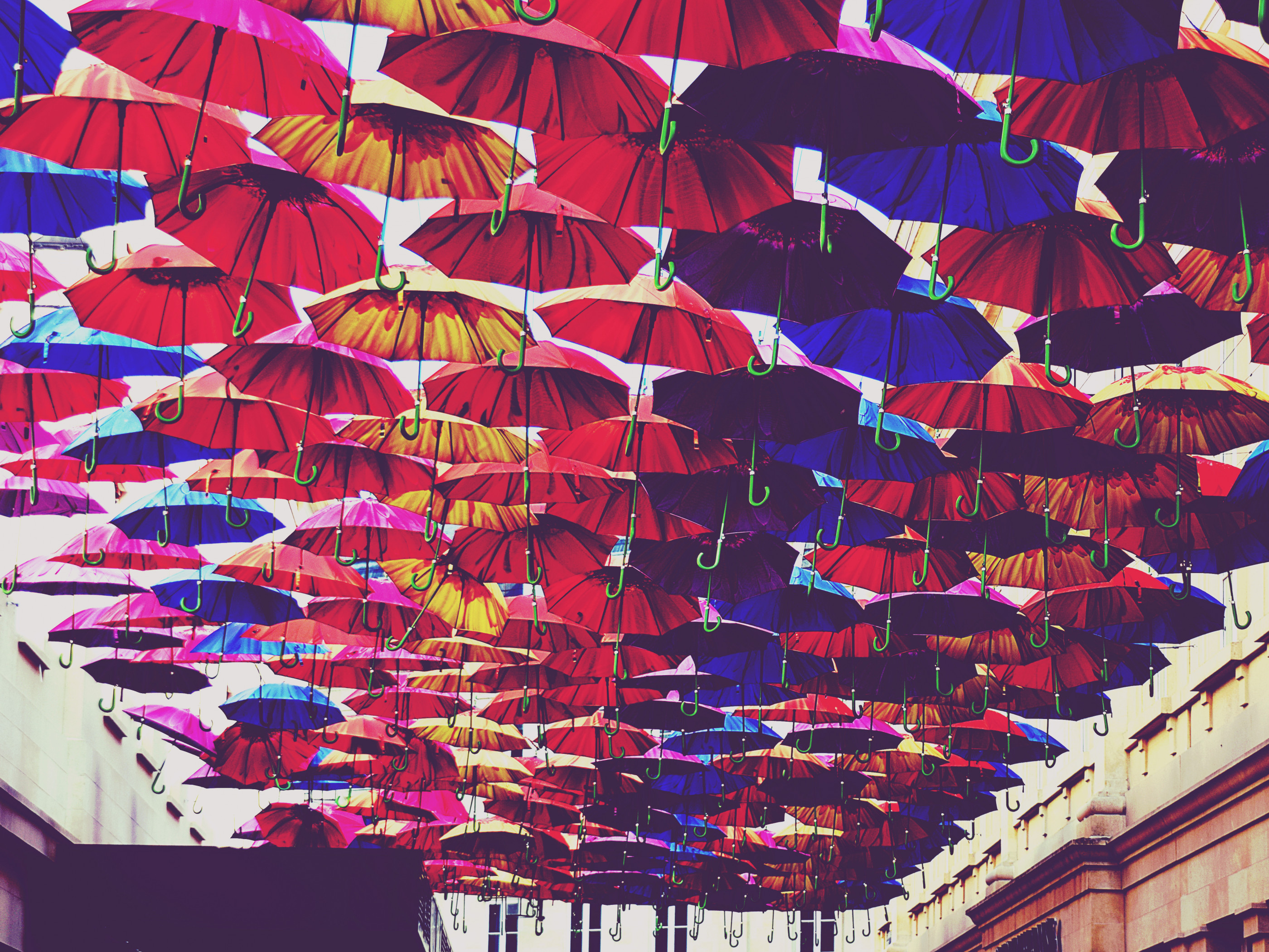 Umbrellas