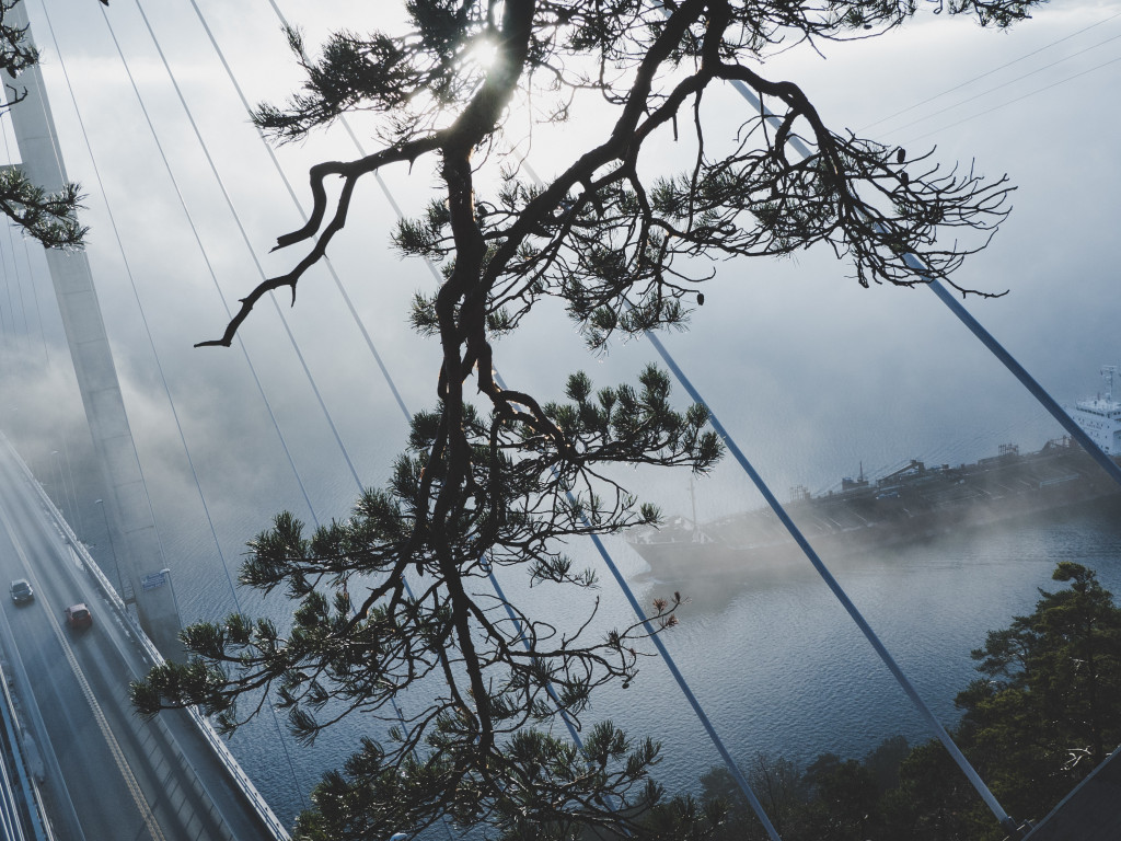 Cargo Ship Through The Trees