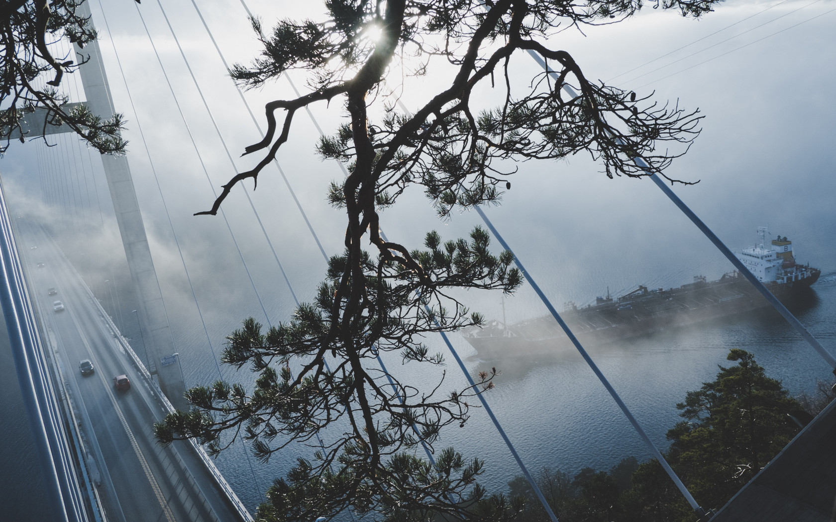 Cargo Ship Through The Trees