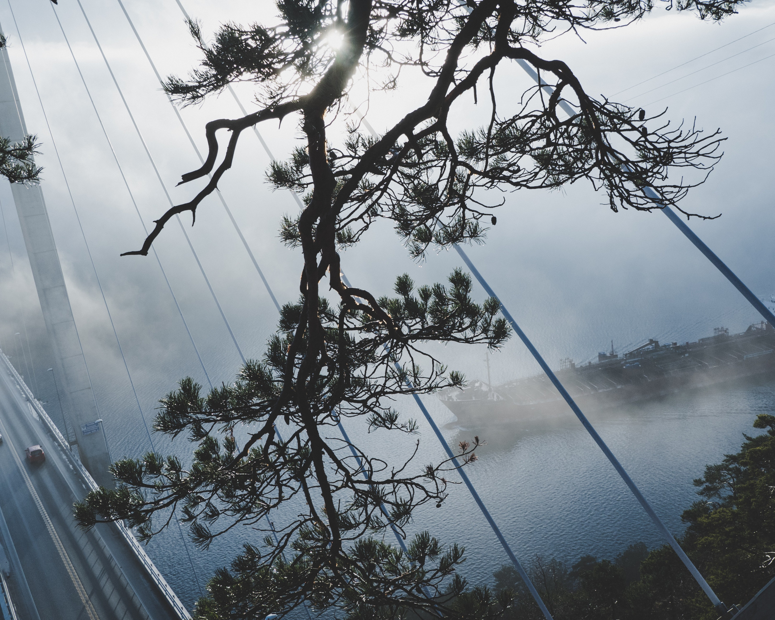 Cargo Ship Through The Trees