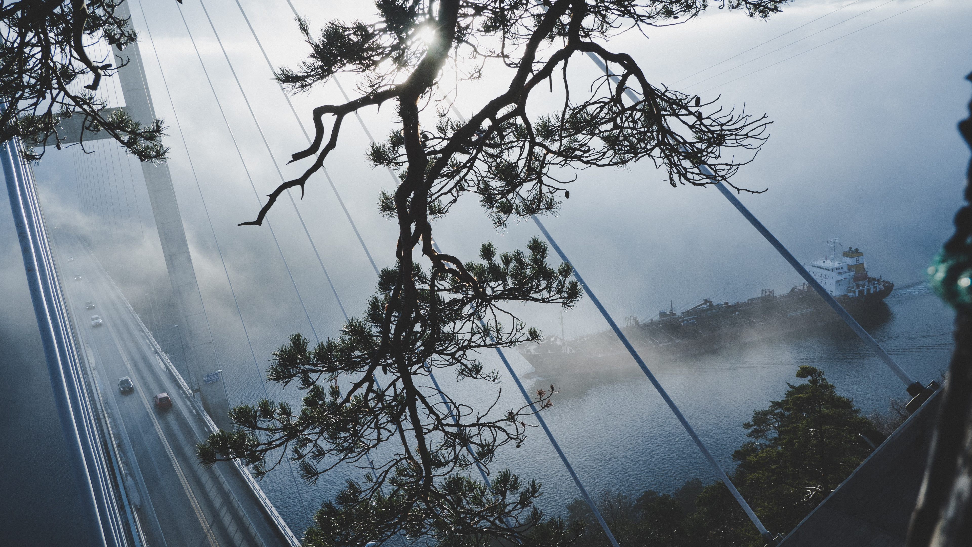 Cargo Ship Through The Trees