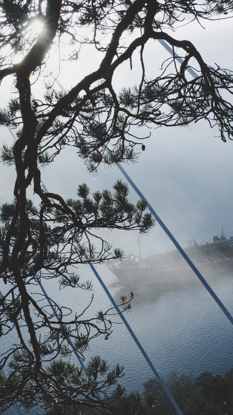 Cargo Ship Through The Trees