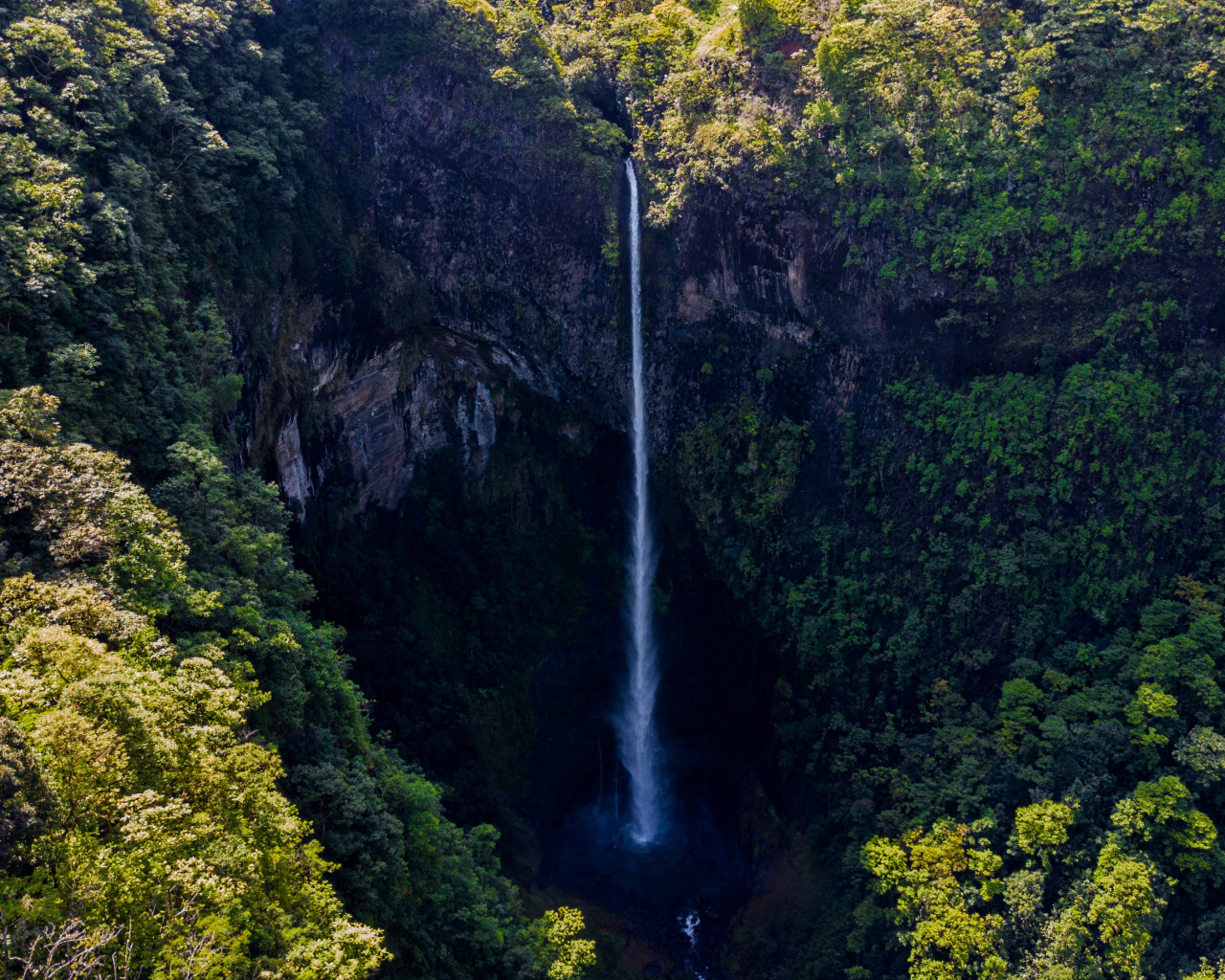 Waterfall Surrounded by Green Leaf Trees 