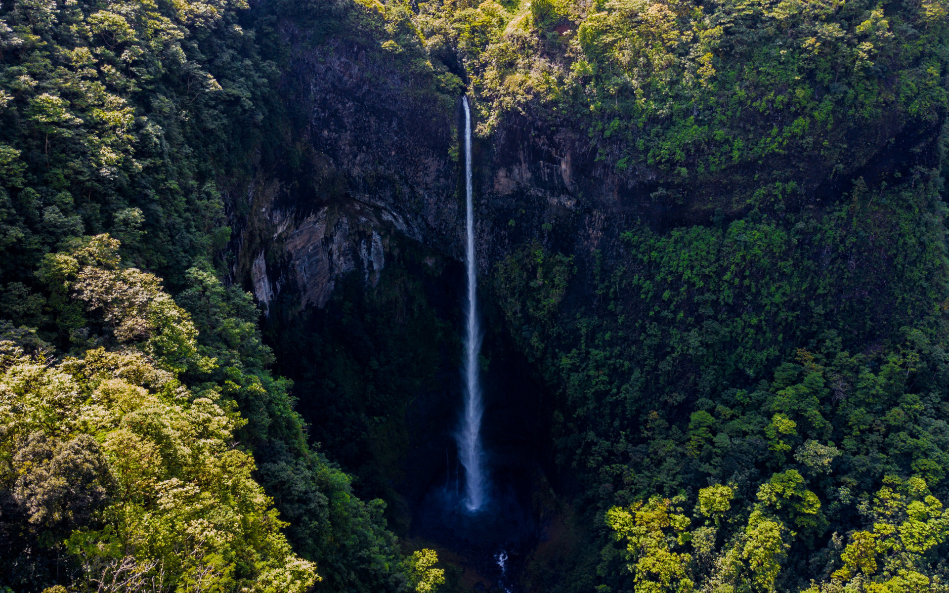 Waterfall Surrounded by Green Leaf Trees 