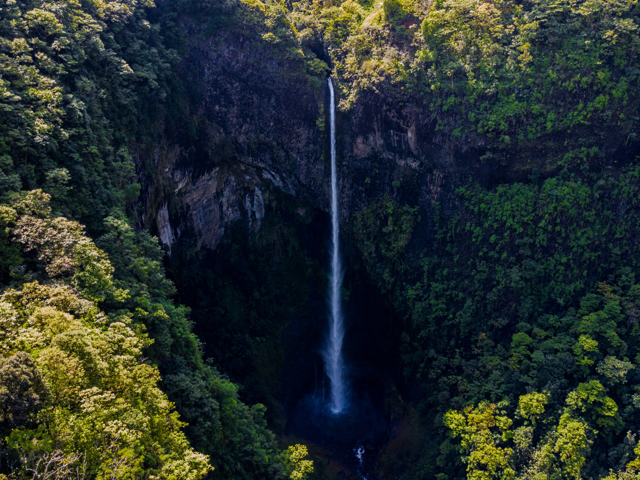 Waterfall Surrounded by Green Leaf Trees 