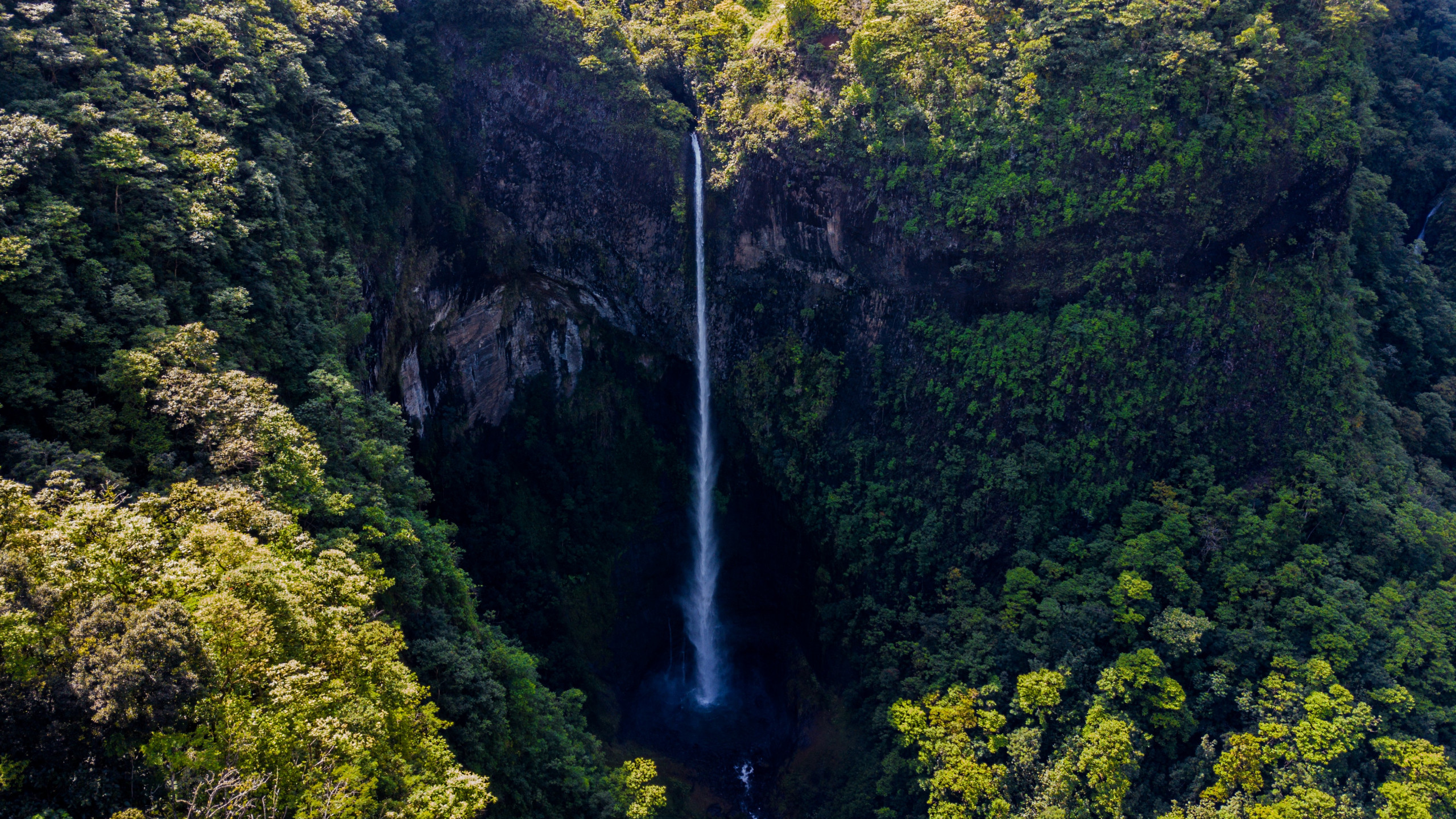 Waterfall Surrounded by Green Leaf Trees 