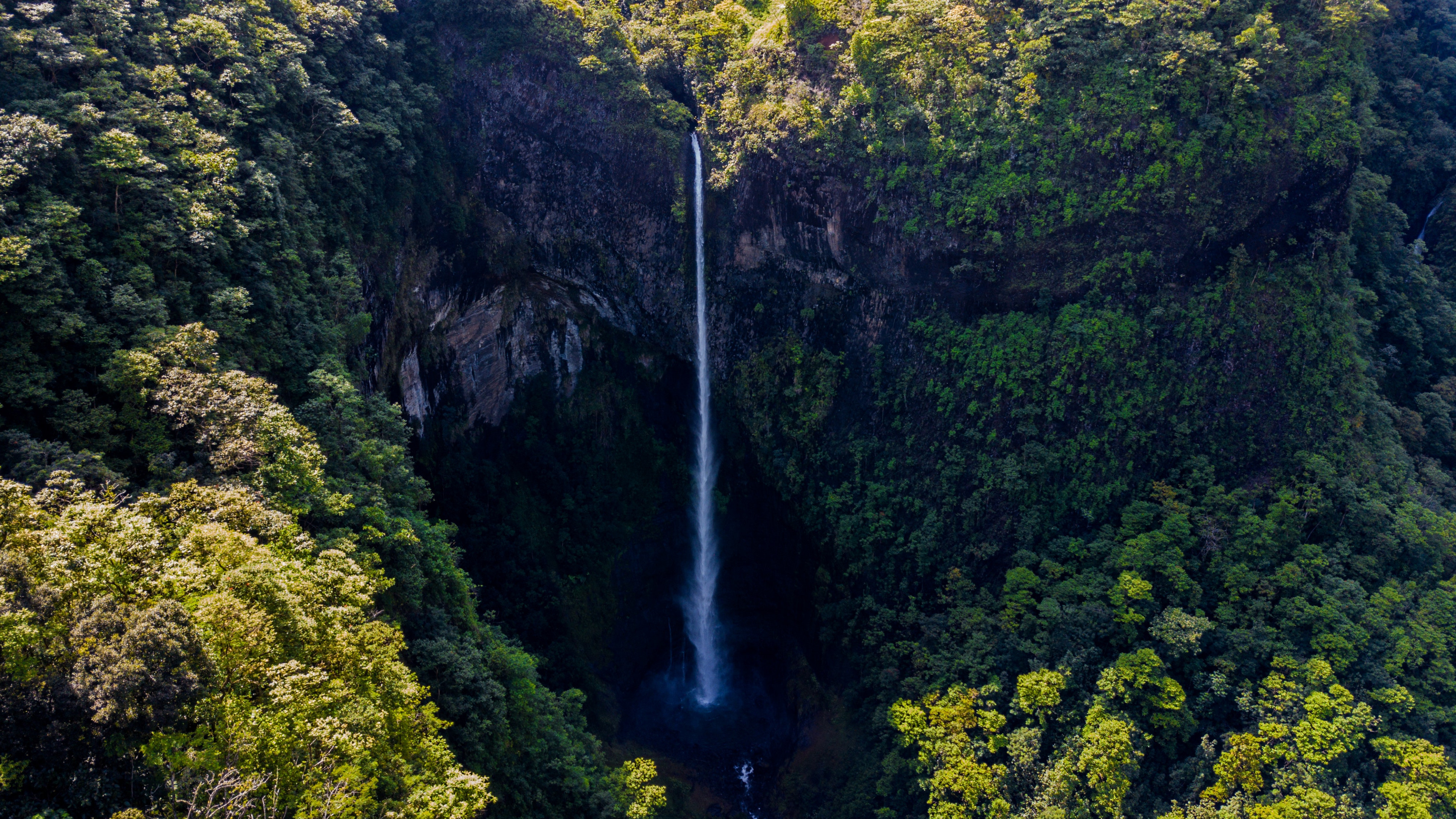Waterfall Surrounded by Green Leaf Trees 