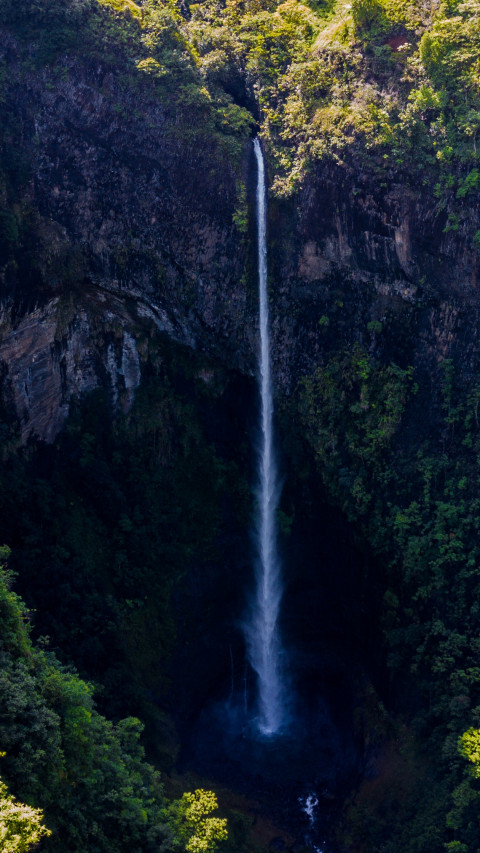 Waterfall Surrounded by Green Leaf Trees 