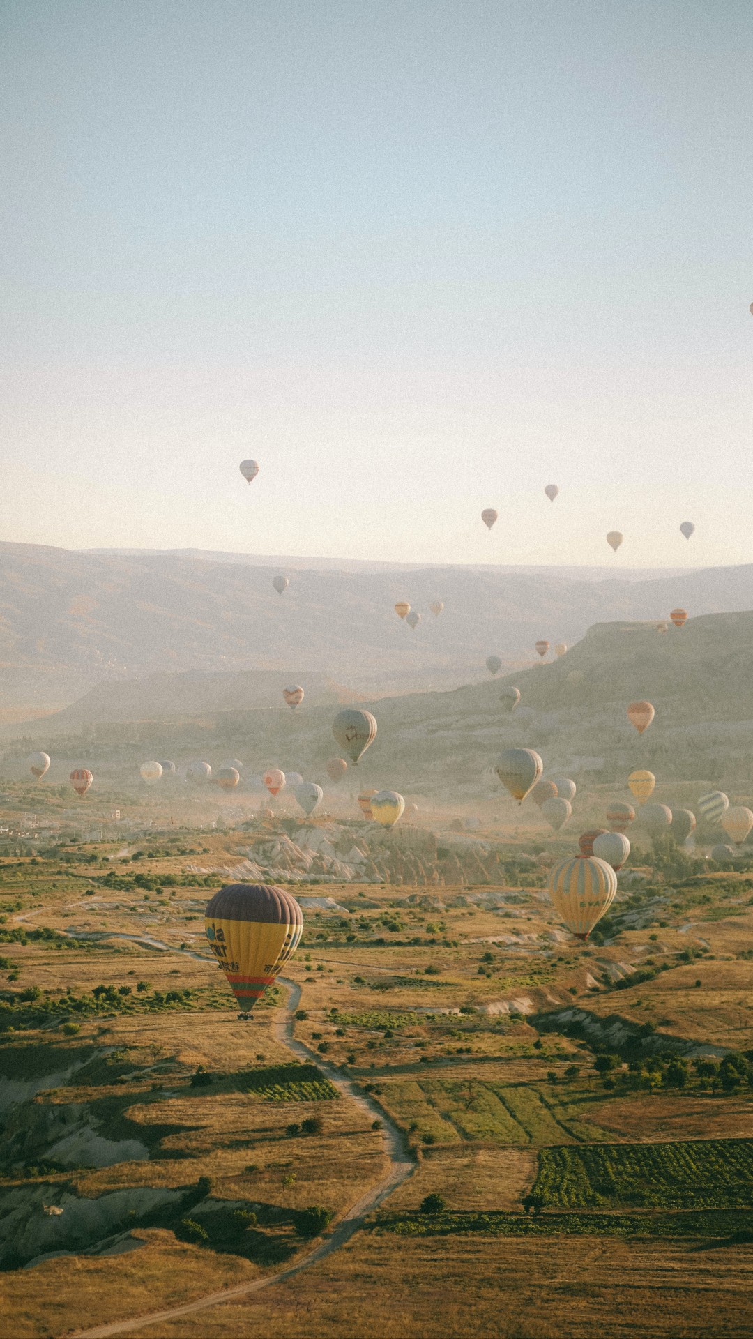 Hot Air Balloons 