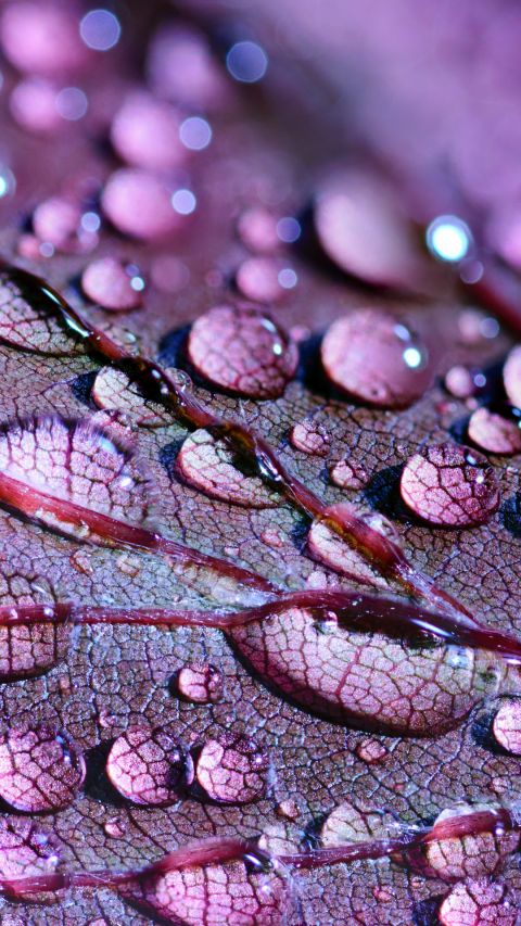 Abstract
